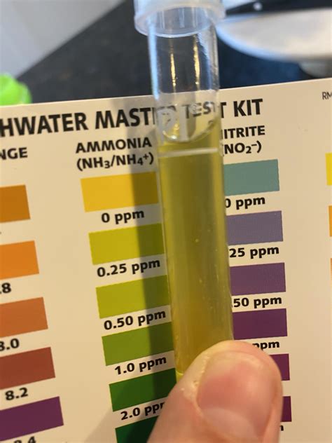 api ammonia test results reddit